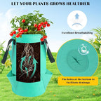5 Pack Upside Down Strawberry Hanging Planter, 3 Gallon Tomato Hanging Grow Bags - Image 5
