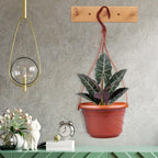 VIDELLY 4 Pieces Plastic Hanging Planters, 5.9 in Dia x 3.54 in H, Flower Plant - Image 6
