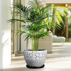 Ceramic Plant Pot 8 Inch - Image 7