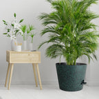 12 inch Large Self Watering Pots - Image 7
