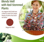 Plant Support Stakes for Indoor & Outdoor Use, Durable Trellis Alternative for - Image 5