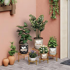 5 Pack Metal Outdoor Plant Stand Heavy Duty Plant Pot Stands - Image 3