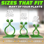 Plant Wall Clips for Climbing Plants 110 Pcs - Image 2