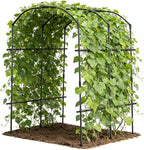 DoCred Tall Garden Arch Trellis by DoCred
