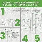 Tomato Cage Square - Image 7