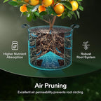 VIVOSUN 4-Pack FlexFeed Self-Watering Pots - Image 8