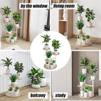Plant Stand Indoor 4 Tier 5 Potted Multiple Flower Pot Holder - Image 6