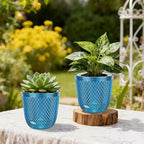 QCQHDU 2 Pack Self Watering Pots, 5.7 Inch Flower Pots - Image 4