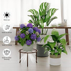5 PackHeavy Duty Rack for Planter, Anti-Rust Flower Pot Stand Holder for - Image 4