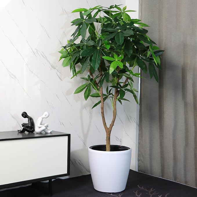 Dexceder 13x12 Self Watering Planter - Image 6
