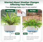 T4U Hanging Planter Self Watering 8 Inch, 2 Pack White Indoor Hanging Plant pots - Image 5