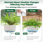 T4U 10 Inch Hanging Planters for Indoor Plants, 2 Pack White Self Watering - Image 5
