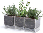 D'vine Dev Herb Garden Planter Set, Plastic Plant Pots by DvineDevPlanterPotsandStand