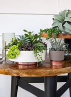 The HC Companies 8 Inch Round Plastic Succulent Capri Bowl Decorative Indoor - Image 3