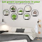 Wall Planters for Indoor Plants, Plant Frames Wall Decor Living Room Plant - Image 7