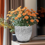 Ceraimc Plant Pot - Image 2