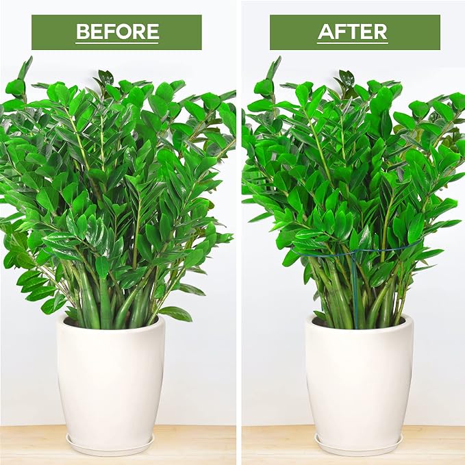 LEOBRO 6 Pack Plant Support Plant Stakes, Metal Peony Support, Garden Plant - Image 5
