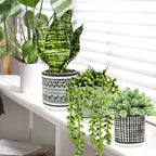 Winlyn 3 Pcs Small Potted Plants Artificial Succulents Hanging Plants and Faux - Image 4