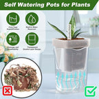 12 Pack Self Watering Pots Set for Indoor Plants, 2.5" Small Clear Self - Image 4