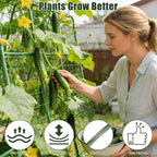 Miory Cucumber Trellis for Raised Beds, 48 x 63 Inch Metal U-Frame Garden - Image 5