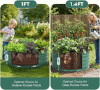 ZORMY Galvanized Raised Garden Bed Outdoor, Round Metal Planter Boxes 2 Pcs - Image 8
