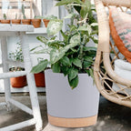 QCQHDU 12 inch Plant Pot, 2 Pack Planters - Image 6