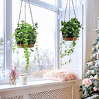 Hanging Planters for Indoor Plants - Image 5