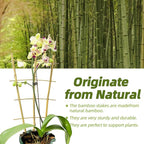 20 Pack 16" Bamboo Trellis for Climbing Plants-Natural Garden Ladder Fan - Image 2