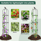 Garden Trellis for Climbing Plant Outdoor - Image 2