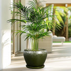 8 Inch Plant Pot - Image 4
