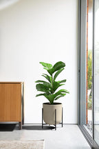 Veradek Mason Series Raised Lima Planter - Image 4