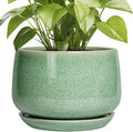 G EPGardening Ceramic Planter by GEPGardening