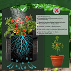 3 Pack 20 Gallon 360° Visibility Potato Grow Bags - Image 3