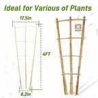 Avalution 10 Pack Bamboo Trellis - Image 6