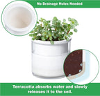 Phoenix Vine 4 Inch Self Watering Planter Pot, Design White Terracotta Pots - Image 3