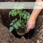 100PCS Peat Pots, 3.15Inch Seed Starting Pots - Image 5