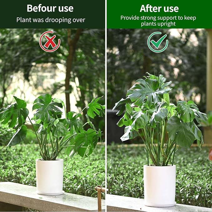 4 Pack Plant Support Stakes, Plant Stakes - Image 6