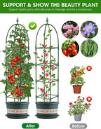 Trellis for Climbing Plants Outdoor, 6FT Garden Obelisk Rustproof PE Coated - Image 4