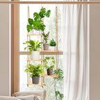Novabright Window Hanging Plant Shelf by Unknown