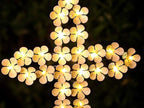 White Cross Garden Stake Solar Lights Metal Hydrangea Cross Stake Memorial Gift - Image 3