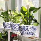 SQOWL Ceramic Pots for Plants - Image 6