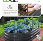 KING BIRD Raised Garden Bed - Image 6