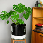D'vine Dev 10 Inch Design Self Watering Planter - Image 5