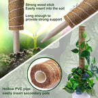 Moss Pole 36 Inch - Image 4