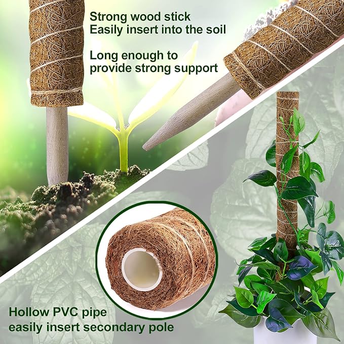 Moss Pole 36 Inch - Image 4