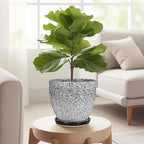 Ceramic Planter - Image 5