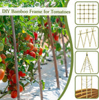 Plant Stakes 4FT, Natural Bamboo Stakes, HAINANSTRY 25Pcs Sturdy Bamboos Garden - Image 3