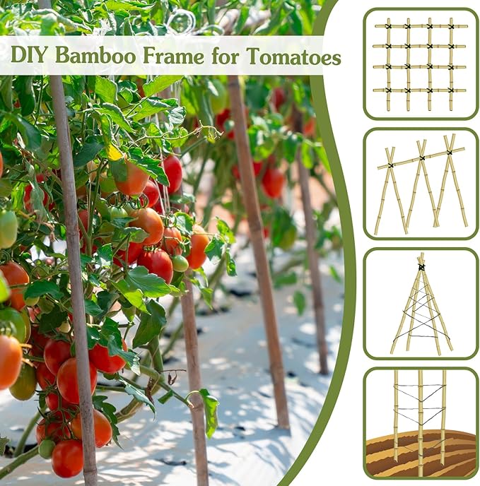Plant Stakes 4FT, Natural Bamboo Stakes, HAINANSTRY 25Pcs Sturdy Bamboos Garden - Image 3