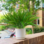6Pcs Artificial Grass Fake Plants 17.3in 16 Leaves Outdoor Fake Grass UV - Image 6