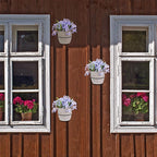 6 Pack 6 Inch Wall Flower Pot Holder Ring Plant Hanger, Metal Planter Hooks - Image 5
